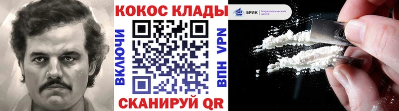 Cocaine FishScale  Купить где  Нестеров 