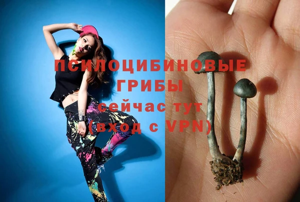 мет Бородино