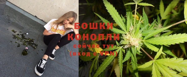 спайс Богородицк