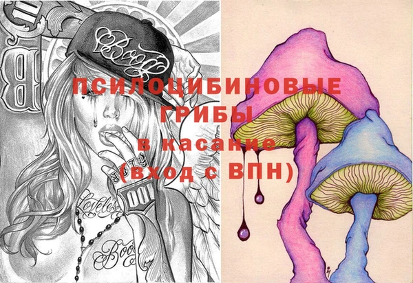 СК Бронницы