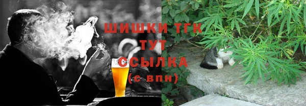 дмт Богданович
