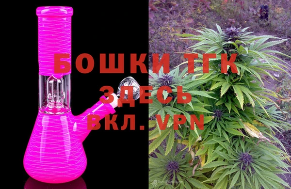дмт Богданович