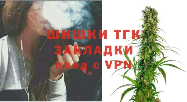 мет Бородино