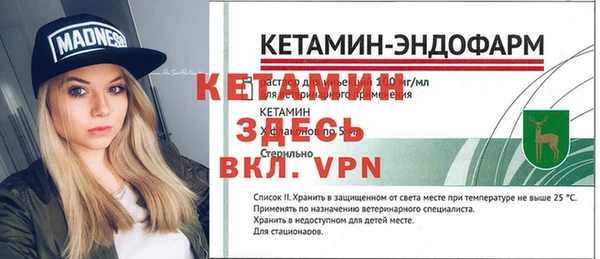 дмт Богданович